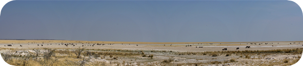 Etosha, Pan bei Sprinbok Fontein